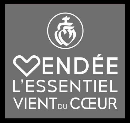 Logo fond gris
