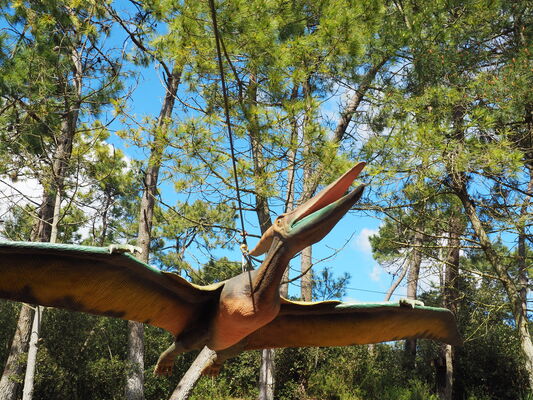 DINO'S PARK_Saint Hilaire de Riez