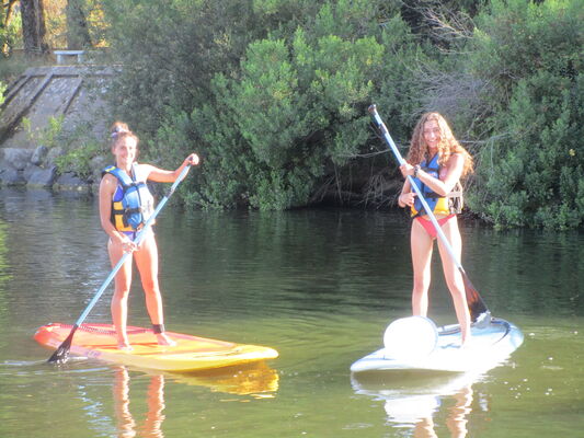 PADDLE-2-4