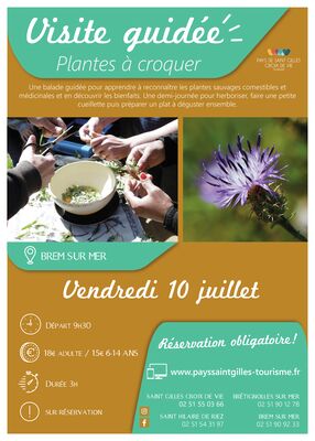 Plantesacroquer_Brem_10juillet