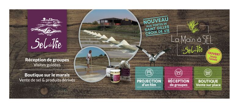 SEL DE VIE 2019