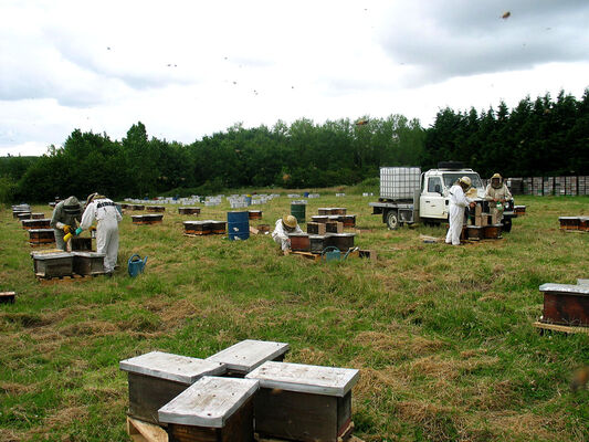 melli-ouest-saint-laurent-de-la-salle-85410-1