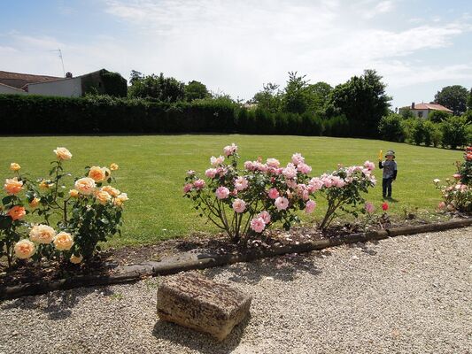 meublé-gite-les-volets-bleus-saint-valérien-85570 (4)