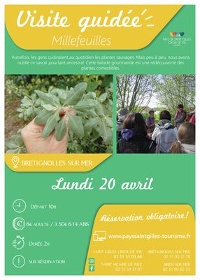 Modèle_affiche_VG2020