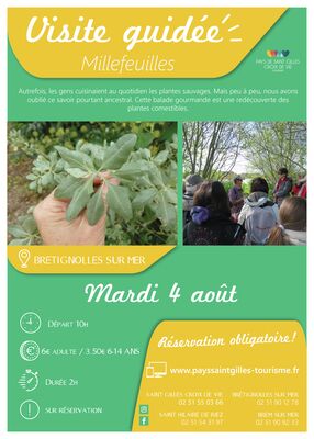 Modèle_affiche_VG2020