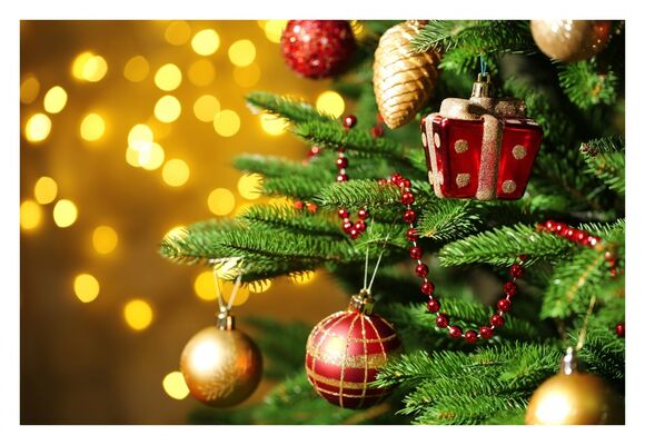 noel---NOTRE DAME DE RIEZ