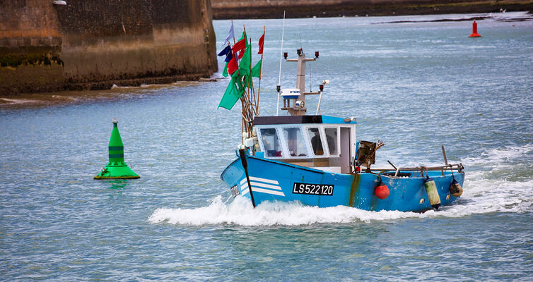 bateau de pêche saint gilles croix de vie2
