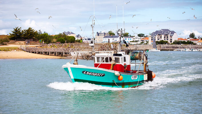 bateau de pêche saint gilles croix de vie3