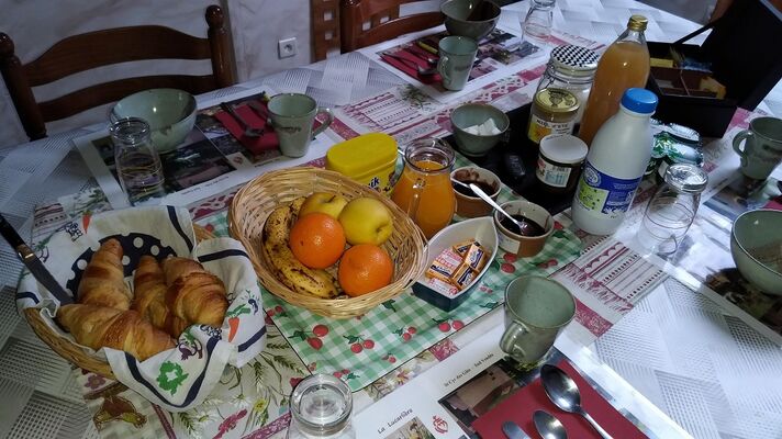 chambres-d-hotes-domaine-la-lucarliere-85410-saint-cyr-des-gats-5