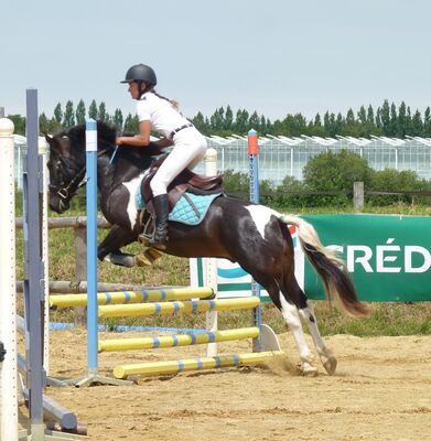 domaine-Epona-l-Aiguillon-sur-Vie--3-