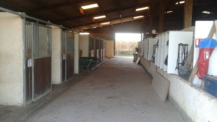 domaine-Epona-l-Aiguillon-sur-Vie--4-