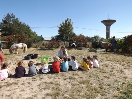 domaine-Epona-l-Aiguillon-sur-Vie--5-