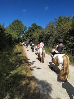 domaine-Epona-l-Aiguillon-sur-Vie--6-