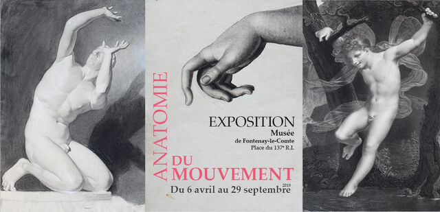 expo-anatomie-du-mouvement-fontenay-le-comte