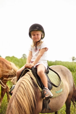 équitation