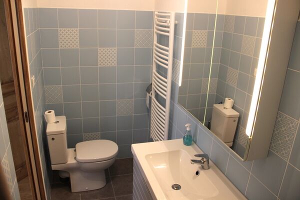 gite-la-benetiere-saint-valerien-85570-12