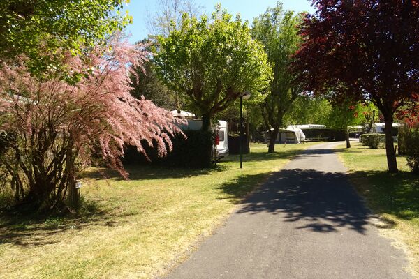 grands emplacements camping la paree preneau