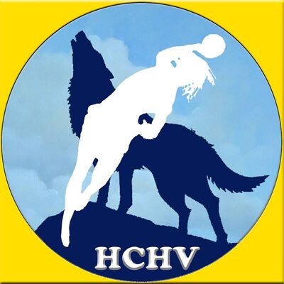 hand-ball-club du Havre de Vie
