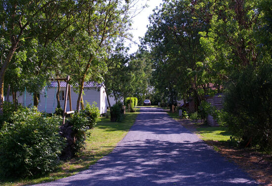 ilot-des-marais-camping-le-langon- (3)