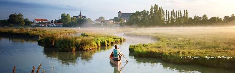 image canoe marais matin