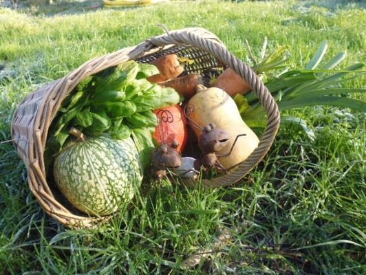 la-ptite-fourmi-producteur-foussais-payré-85240-1
