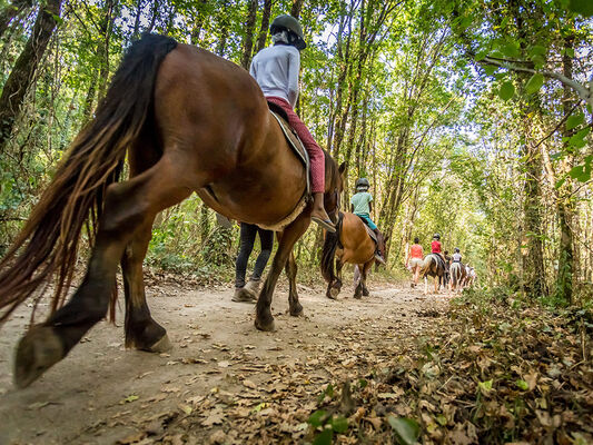 le-grand-defi-balade-poney-st-julien-des-landes-85-loi-1
