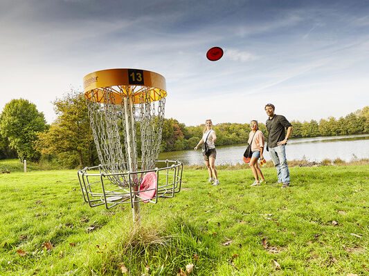 le-grand-defi-disc-golf-st-julien-des-landes-85-loi-1
