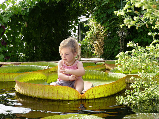 le-potager-extraordinaire-la-mothe-achard-85-pcu-4