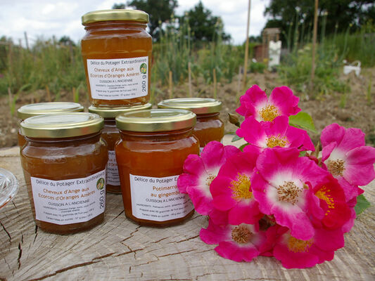 le-potager-extraordinaire-la-mothe-achard-85-pcu-9