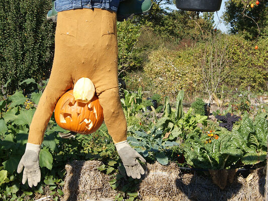 le-potager-extraordinaire-la-mothe-achard-85-pcu-16