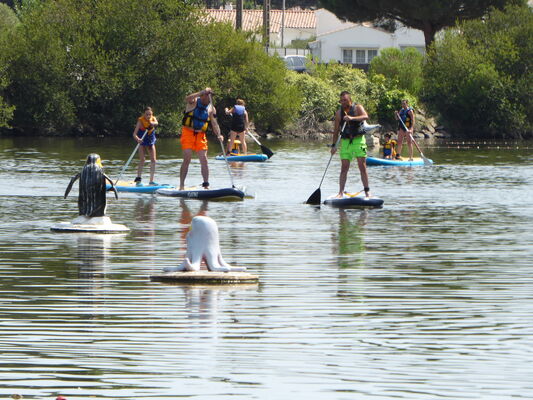 paddle