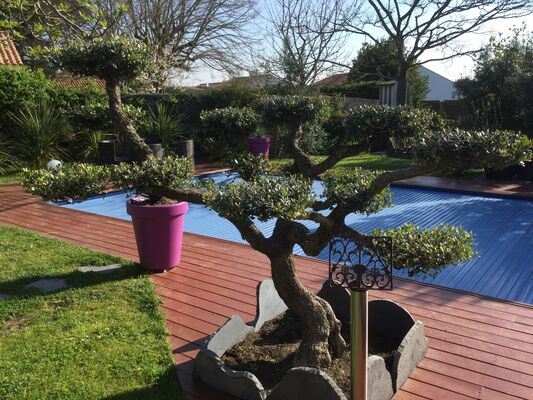 piscine2lapetitechatelaine