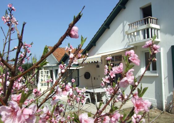 reve d'océan_jardin_sainthilairederiez_vendée