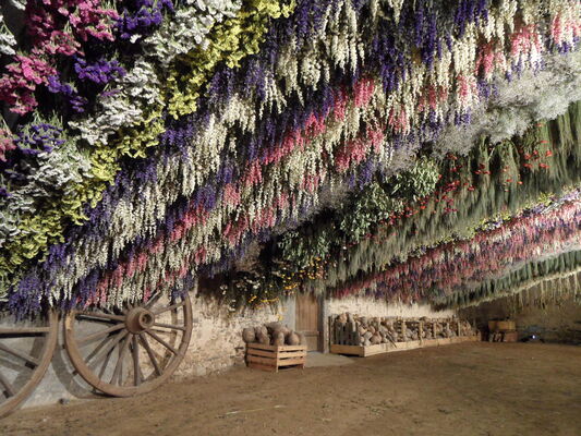 Séchoir - Atelier des Fleurs Séchées - Aizenay