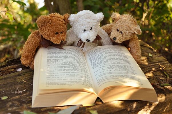 teddy-bear-2855982_960_720