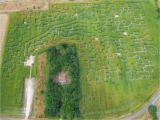 vue aérienne labyrinthe st hilaire