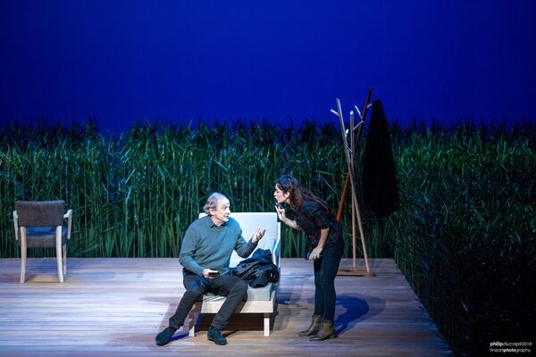 ©P. Ducap - Festival de théâtre de Terre-Neuve 2019 - La ménagerie de verre -Tu te souviendras de moi