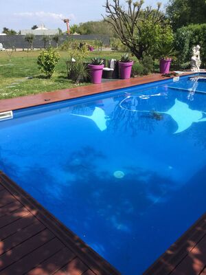 Le jardin