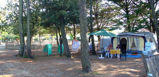 17124_campingdesion2