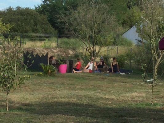Cours de yoga