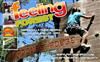 245920-feeling-forest