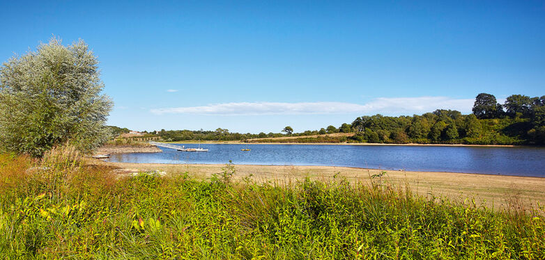 270083_lac_du_jaunay_landevieille