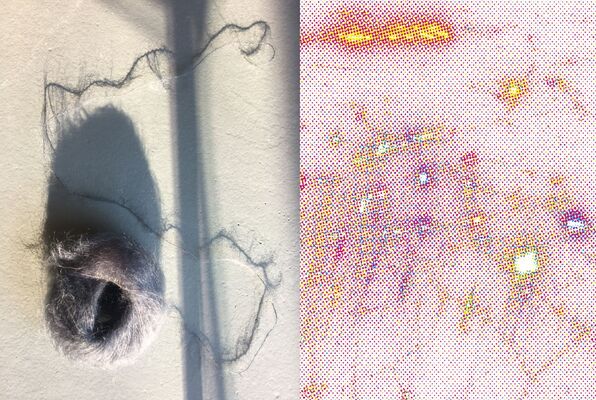21032020-Expo-Hic-et-Nunc---Sophie-Tellier-Maurice-et-Thierry-Merre