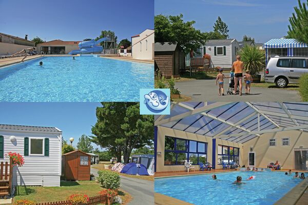 22329_les_marsouins