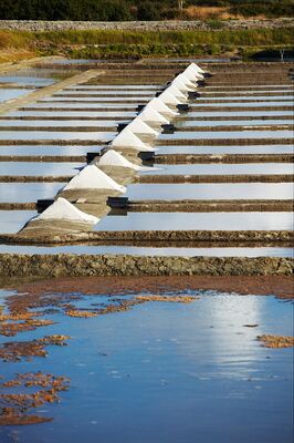 marais salants de la Vie