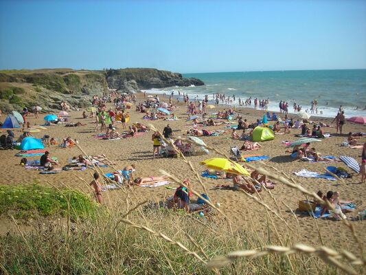 53642_photocamping_la_padrelle_1