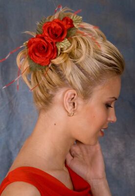 Elévation Coiffure