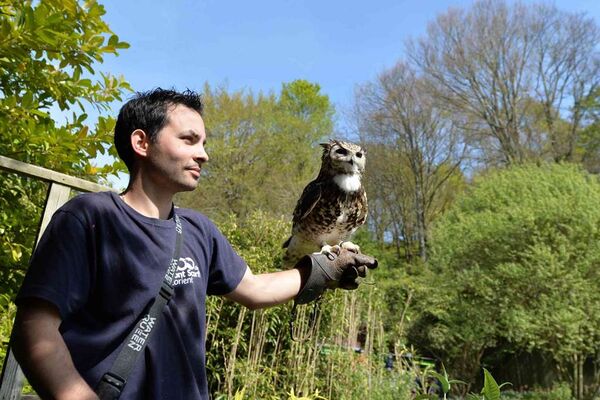 Parc-Zoologique-Pont-Scorff-Morbihan-Bretagne-Sud