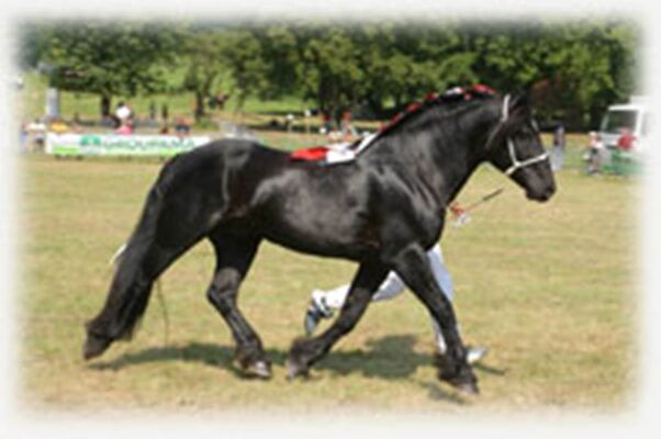 bouan