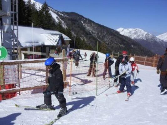 Goulier Neige